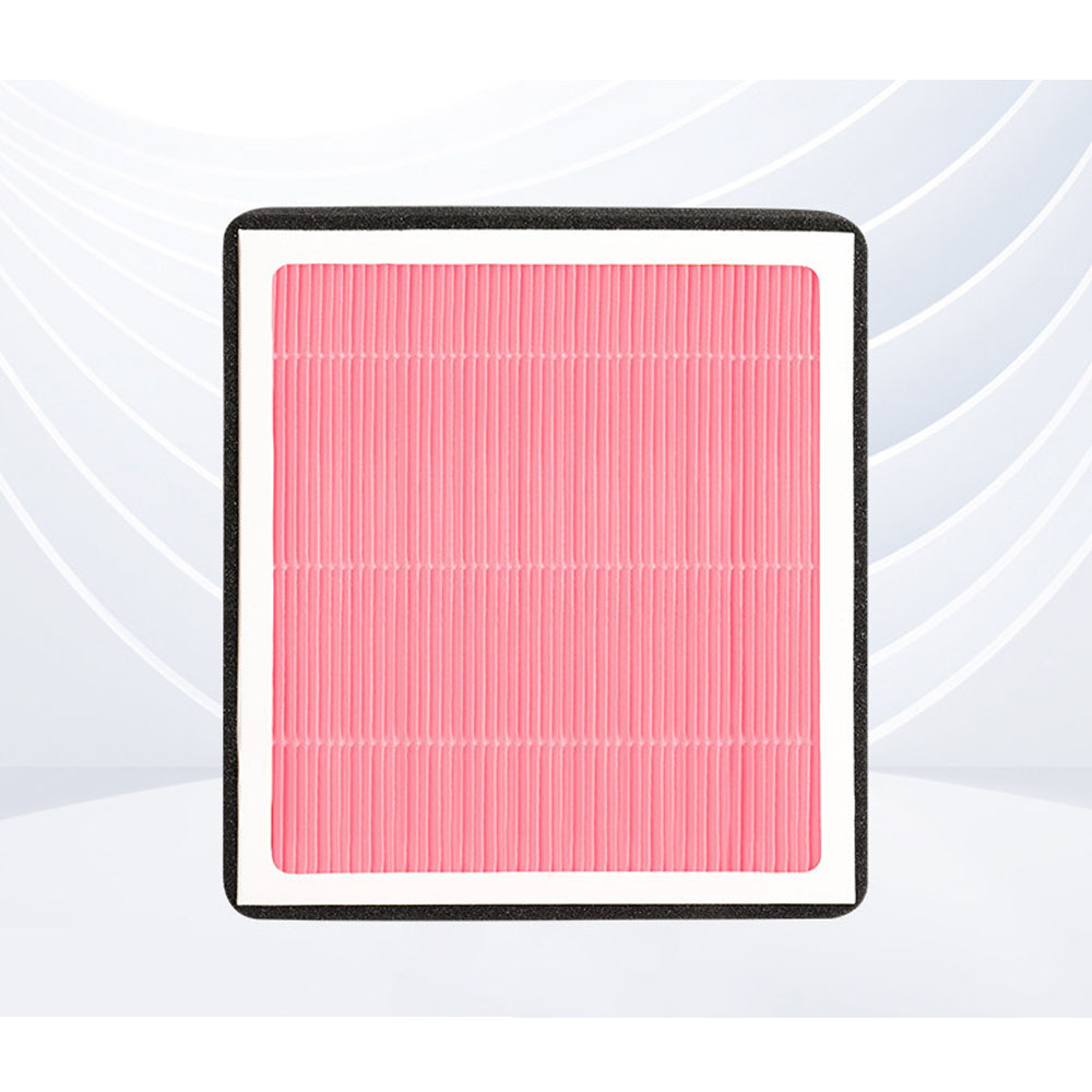 For BAIC JISHI ROX 01 2024-202 - Filter Replacement N95 评论和价格